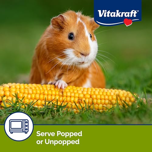Vitakraft Mini Pops Microwavable Corn Cobs for Small Animals - Corn on The Cob Snack for Hamsters, Rabbits, & Guinea Pigs - Pet Treat & Enrichment