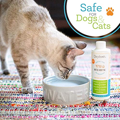 Oxyfresh Premium Pet Dental Care Solution Pet Water Additive: Best Way to Eliminate Bad Dog Breath and Cat Bad Breath - Fights Tartar & Plaque - So