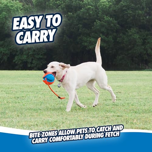 Chuckit! Rope Fetch Dog Toy - Ball on Rope Fetch and Tug-of-War Toy for Dogs - Durable EVA Rubber Construction - 5.5-inch Diameter - 18-inch Rοpe