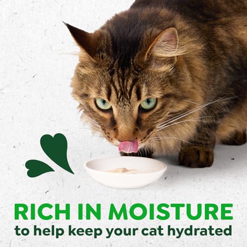 Greenies Feline Smart Purees Healthy Indoor Lickable Cat Treats with Real Chicken, 0.49 oz. Tubes, 20 Count