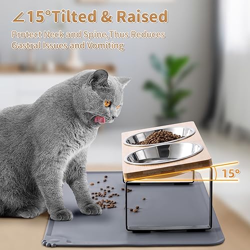 Upgraded Elevated Cat Bowls with Food Mat,15°Tilted Stand Anti Vomiting Raised Cat Dishes for Food and Water,2 Stainless Steel Bowls for Cats and