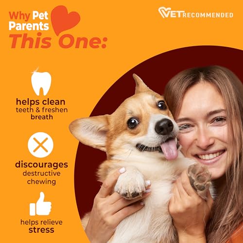 Nylabone Strong Chew Textured Ring Dog Toy Made with Real Beef & Chicken, Durable Chew Toys for Aggressive Chewers, Long Lasting Dog Bone, Keeps Dogs