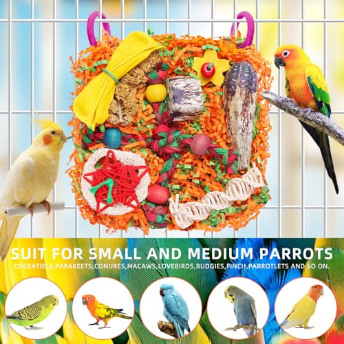 Bird Toys for Small & Medium Parrots - Natural Foraging & Shredding Cage Hanging Toys with Seagrass Mat, Starfruit, Loofah Slices for Budgies