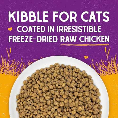 Stella & Chewy's Raw Coated Cat Food - High Protein, Grain-Free Kibble with Cage-Free Chicken - Premium Digestive Support with Probiotics - Natural