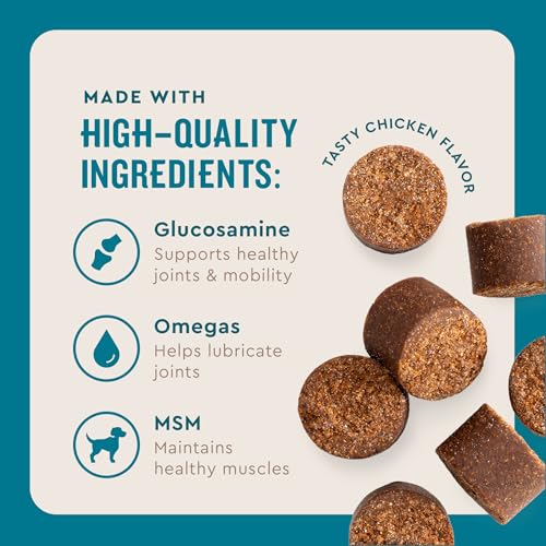 VetIQ Glucosamine Hip & Joint Supplement for Dogs, 180 Soft Chews, Joint Support Supplement with MSM and Krill, Dog Health Supplies Large & Small