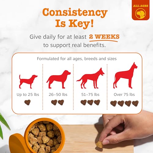 Zesty Paws Allergy Immune Bites - Dog Allergy Chews, Dog Probiotics for Itchy Skin and Ears, Peanut Butter, 90ct