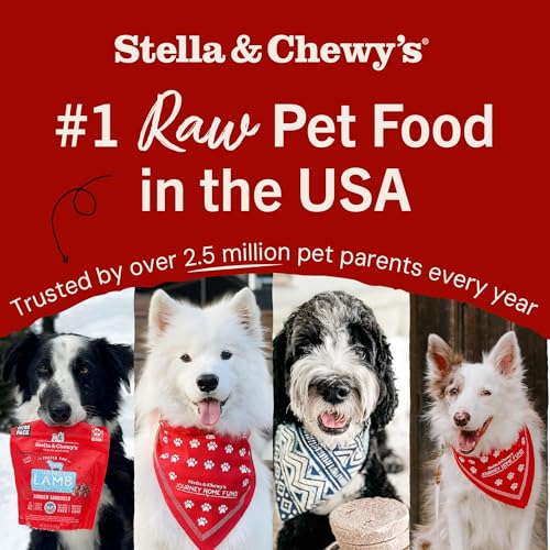 Stella & Chewy's Freeze-Dried Raw Chicken Heart Dog Treats - Single Ingredient, No Additives - Premium Training Treats - Perfect For Picky Eaters