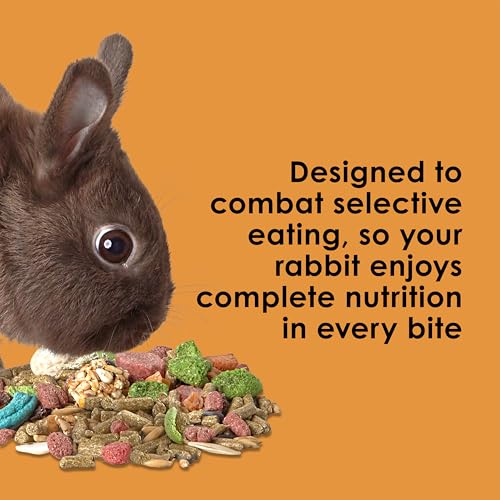 Kaytee Fiesta Rabbit Food Flavor Medley 25 Pounds