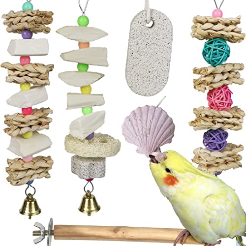 Parrot Chewing Toys (6 pcs) Natural Cuttlebone Bird Beak Trimmer Grinding Stone Lava Block Calcium Stone Bird Perch Cage Toys for Small and Medium