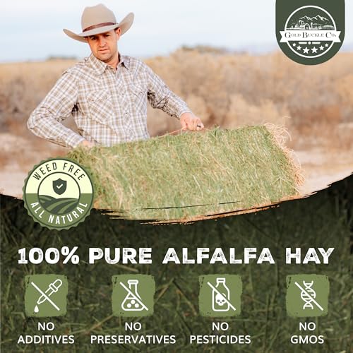 9lb Farm Fresh, USA Grown, Organic Alfalfa Hay for Rabbits, Guinea Pigs, Chinchillas, Goats, Hamsters & Ferrets - Rabbit Food Rich in Protein & Fiber