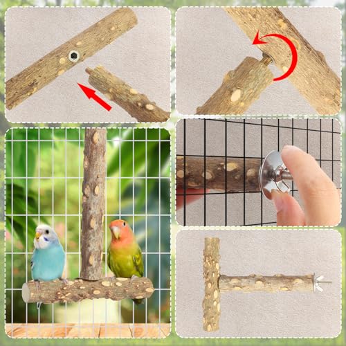 Bird Perches,4pcs Natural Wood Birds Stand Branch, Bird Perch Chewing Stick Cage Accessories Parrot Climbing Standing Branches Paw Grinding Fork Sets