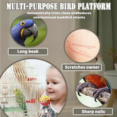 4PCS Bird Beak Grinding Stone,Cage Accessories for Parakeets,Bird Parrot Cage Perch, Stand Platform Foot Claws Trimmer Chewing Toys for Budgies