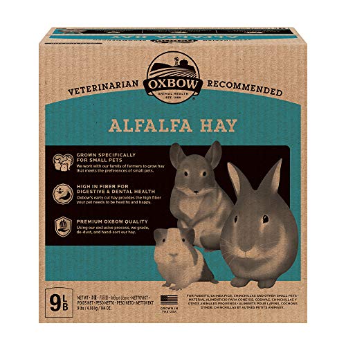 Oxbow Alfalfa, Guinea Pig Hay, Rabbit Hay, Small Pet Bunny Supplies, All Natural Grass for Guinea Pig, Bunny, Chinchilla & Hamster, Oxbow Rabbit