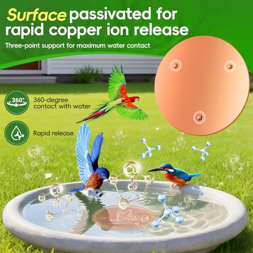 Bird Bath Copper Disk, 99.99% Pure Copper Cleaning Disk, Natural Cleaning Solution for Outdoor Birdbath, Helps Extend time Between birdbath Cleaning