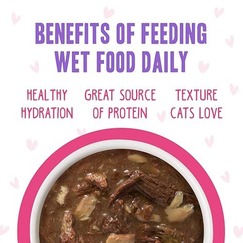 Weruva B.F.F. OMG - Best Feline Friend Oh My Gravy!, Rainbow A Gogo Variety Pack! Cat Food, 3oz Pouch (Pack of 12)
