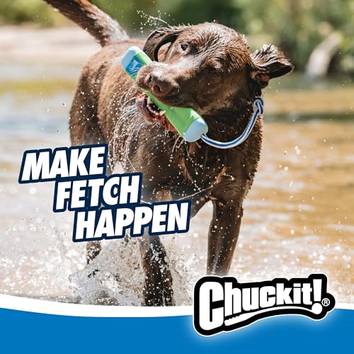 Chuckit! Amphibious Bumper Fetch Stick Toy for Dogs - Floats in Water - Interactive Dog Toys to Keep Them Busy - Tough Rubber, Nylon, and Foam