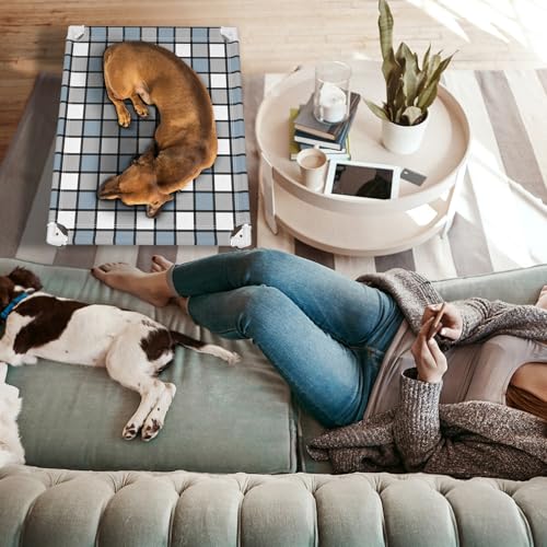 Caghash Elevated Outdoor Raised Dog Bed Outdoor Dogs Bed Lifted Pet Bed Dog Cot for Medium Pet Taste Life, Start with A Pet Bed 34'' x 26'' x 6.5''