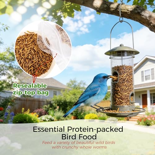 RANZ 2LBS Non-GMO Dried Mealworms for Chickens, High Protein Meal Worms, Premium Chicken Feed, Whole Large Mealworms for Blue Birds, Ducks, Fish