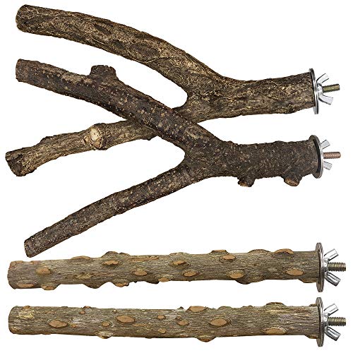 Bird Perch 4 PCS Natural Wood Stand Parakeet Toys Bird Cage Accessories for Parrots Conure Supplies Budgie Platform