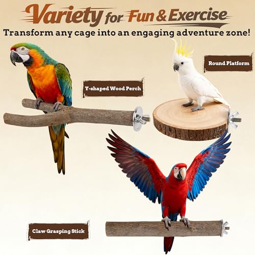 6 PCS Bird Perch Set, Natural Birch Wood Straight & Forked Perches with Platforms for Parakeets, Cockatiels, Conures, Lovebirds - Cage Accessories
