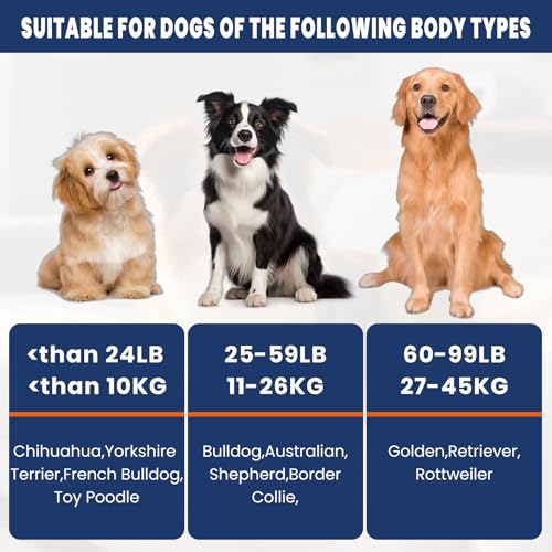 FURWEY Tennis Balls for Dogs 16 Pack,2.5 inches,Durable and Non-Toxic Dog Toys Balls with Mesh Bag,Colorful Fetch Toys Balls for pet Dog (Non Squeaky)