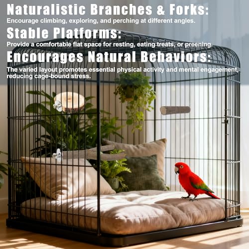 6 PCS Bird Perch Set, Natural Birch Wood Straight & Forked Perches with Platforms for Parakeets, Cockatiels, Conures, Lovebirds - Cage Accessories