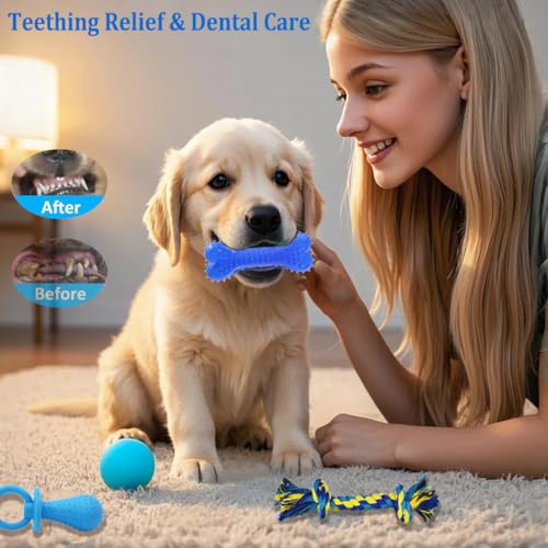Beiker 20 Pack Puppy Chew Toys - Blue Dog Teething Toys for Puppies, Puppy Teething Rings and Ropes, Rubber Toy Bundle for Small Dogs, Cute