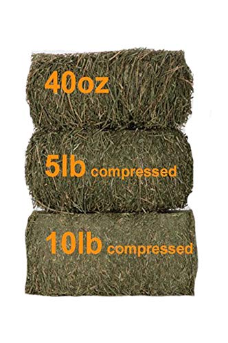 Grandpa's Best Orchard Grass Bale, 5 lbs,green