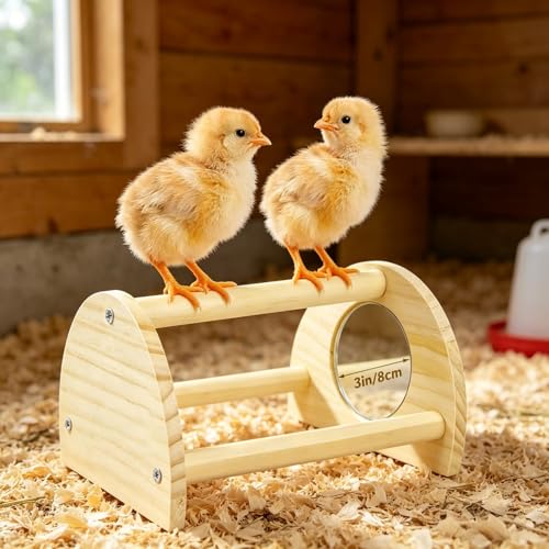 Pine Chicken Perch with Mirror, Strong Chick Jungle Gym Roosting Bar, Chicken Toys for Coop and Brooder, Training Perch Toys for Large Bird, Parrot