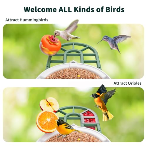 HARYMOR Bird Feeder with Camera with AI Identify Birds Species Solar Powered, Smart Bird House with Cam, 2K HD Video Live Stream, Instant Arrival