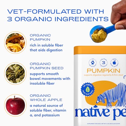 Native Pet Pumpkin for Dogs - Organic Dog Food Topper Powder - Promotes Firm Stools, Supports Digestive, Bowel Health & Nutrient Absorption - USDA