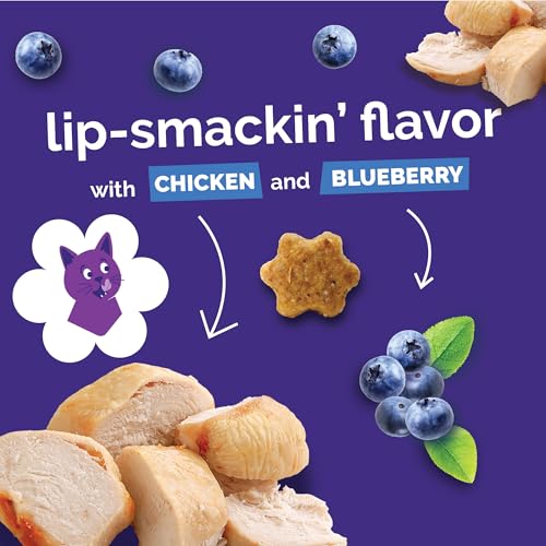 Fruitables Cat Treats - Crunchy Treats for Cats - Healthy Low Calories Packed with Protein - Free of Wheat, Corn and Soy - Made with Real Salmon