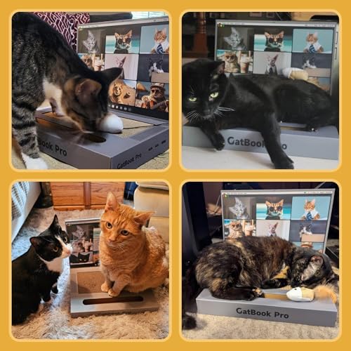 3-in-1 Cardboard Cat Scratcher Laptop with 'Mouse' Jingle Ball, Stickers, Grey Cat Interactive Toy, Kitten Toy & Cat Scratching Pad
