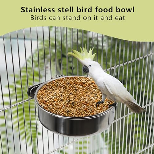 2 Pcs Small Bird Feeding Dish Cups,Parrot Food Bowl Cage with Clamp Holder Stainless Steel,Birdcage Coop Water Feeder for Cockatiel Parakeet Macaw