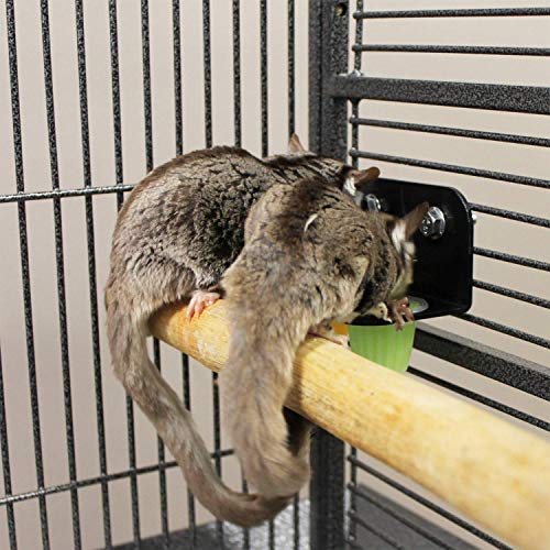 Nectar Pods Holder - Durable Cage Accessory for Nectar Pods - Sugar Gliders, Marmosets, Squirrels, Parrots, Cockatiels, Parakeets, Lovebirds, Birds