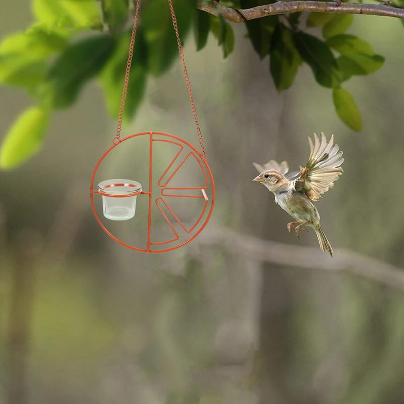 Abaodam 2Pcs Glass Replacement Feeder Cups for Hummingbird Wild Bird Feeders Durable Outdoor Accessories for Garden Balcony Weather Resistant Easy to