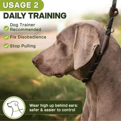 Fida Durable Slip Lead Dog Leash, 6 FT x 1/2" Heavy Duty Dog Loop Leashes, Comfortable Strong Rope Slip Leash for Large Medium Dogs, No Pull Pet