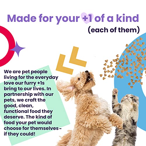 I and love and you Naked Essentials Dry Cat Food - Salmon + Trout - Grain Free, Real Meat, No Fillers, Prebiotics + Probiotics, 3.4lb Bag