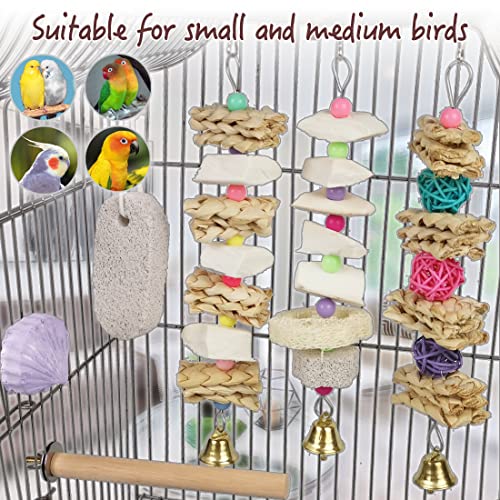 Parrot Chewing Toys (6 pcs) Natural Cuttlebone Bird Beak Trimmer Grinding Stone Lava Block Calcium Stone Bird Perch Cage Toys for Small and Medium