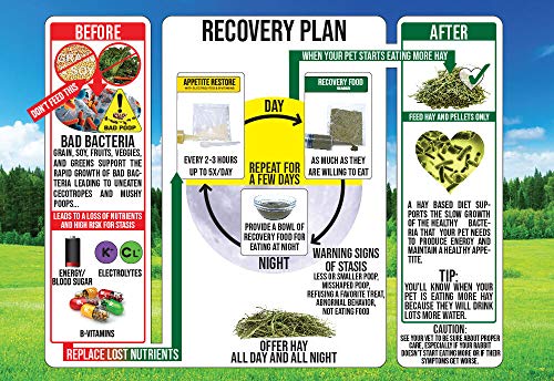 Sherwood Pet Health Rabbit Emergency kit and Bulk Recovery Food (800 Grams)…