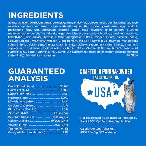 Purina ONE Plus High Protein Cat Food Dry Salmon and Ocean Whitefish Cat Skin and Coat Health Formula - 3.5 lb. Bag