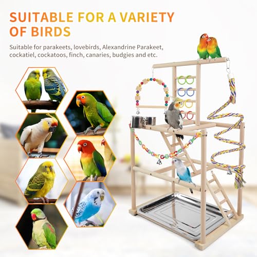 Bird Playground, Parrots Playstand for Small to Medium Birds, Perch Stand with 3 Ladders Playgym with Rope Perch, Swings Feeder Cups Bird Cage