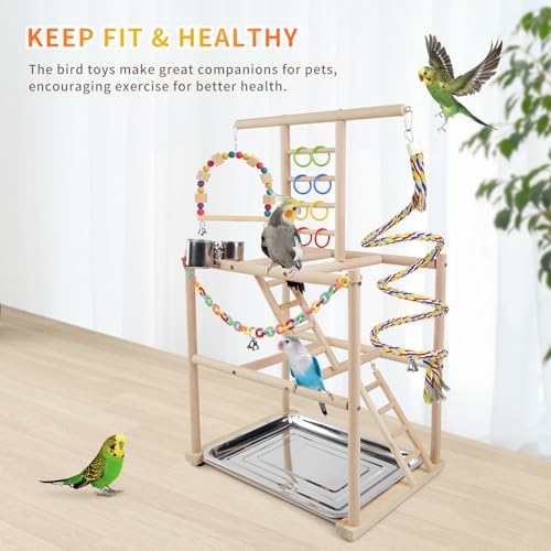 Bird Playground, Parrots Playstand for Small to Medium Birds, Perch Stand with 3 Ladders Playgym with Rope Perch, Swings Feeder Cups Bird Cage