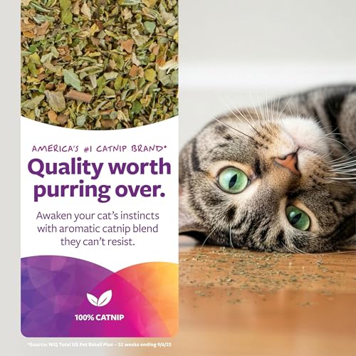 SmartyKat Natural Catnip Canister, 100% Natural Cat Nip for Cats, Premium Dried Catnip for Indoor Cats, Positive Training Aid for Play and Exercise