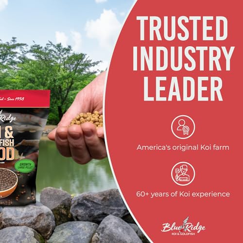 Blue Ridge Koi Fish Food 5lb - Koi Food Large 3/16" Growth Formula, Goldfish Food, Premium Fish Food for Ponds, Ponds Fish Food, Floating Pond Pellets