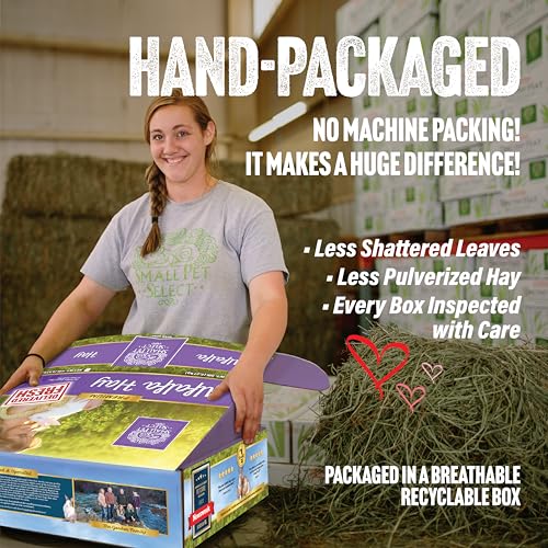 Small Pet Select Alfalfa Hay Pet Food for Young Rabbits, Guinea Pigs, Chinchillas, Tortoises and Other Small Animals, Easy to Store Box, 10 LB