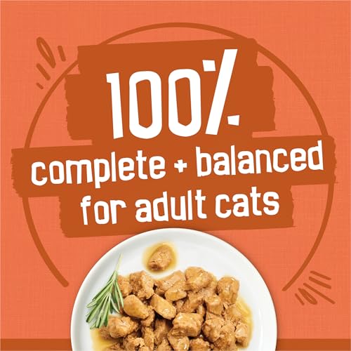 Purina Friskies TurChicken Turkey and Chicken Wet Cat Food Variety Pack with Meaty Bits,  Filets, and Extra Gravy, 48 ct.