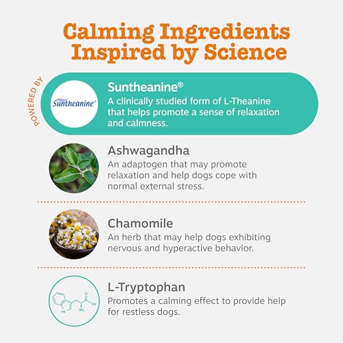 Zesty Paws Calming Chews for Dogs Composure & Relaxation for Everyday Stress & Separation Peanut Butter 90 Count