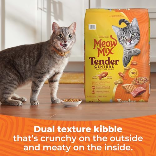Meow Mix Tender Centers, Salmon & White Meat Chicken Flavors, Dry Cat Food, 20 lb. Bag