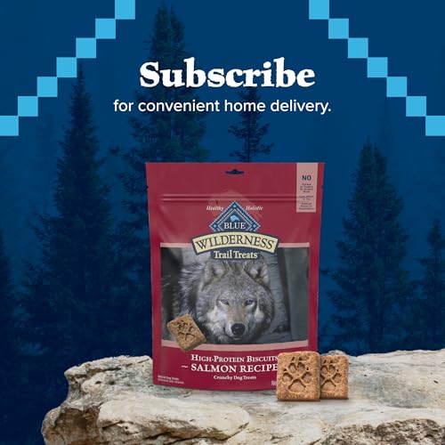 Blue Buffalo Wilderness Trail Treats Crunchy Dog Biscuits, Grain-Free and High-Protein Dog Treats Made with Natural Ingredients, Salmon Recipe 24-oz